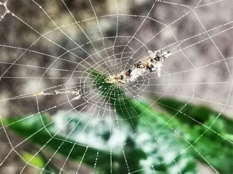 清蜘蛛絲|好久沒更新了 清清蜘蛛絲 陪媽媽看醫生時 ...